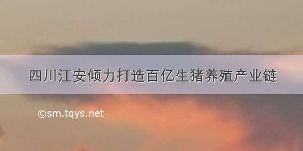 四川江安倾力打造百亿生猪养殖产业链