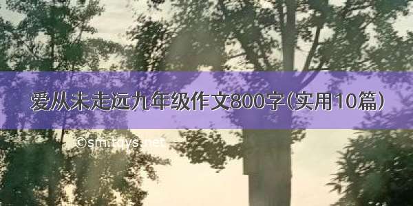 爱从未走远九年级作文800字(实用10篇)