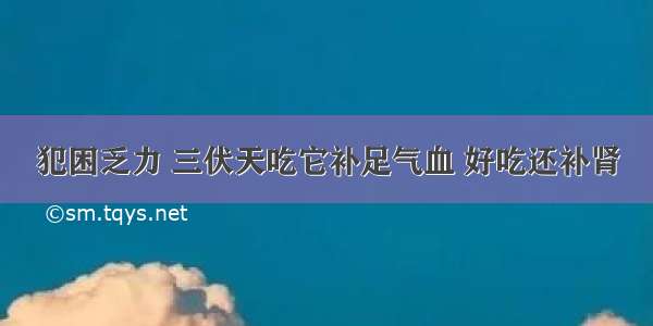 犯困乏力 三伏天吃它补足气血 好吃还补肾