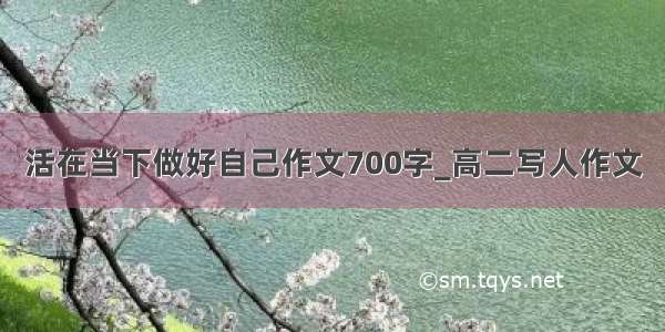 活在当下做好自己作文700字_高二写人作文