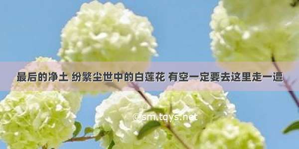 最后的净土 纷繁尘世中的白莲花 有空一定要去这里走一遭