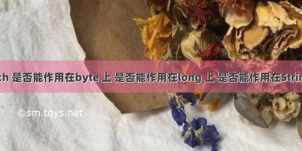 swtich 是否能作用在byte 上 是否能作用在long 上 是否能作用在String上？