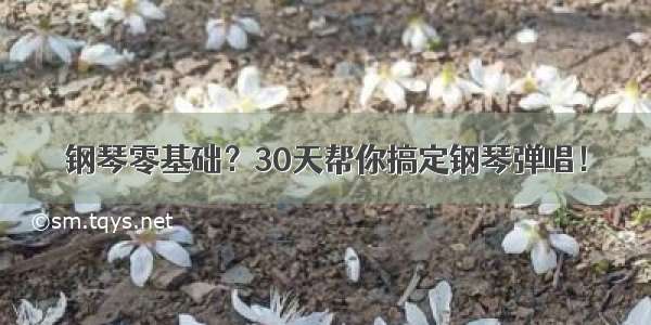 钢琴零基础？30天帮你搞定钢琴弹唱！