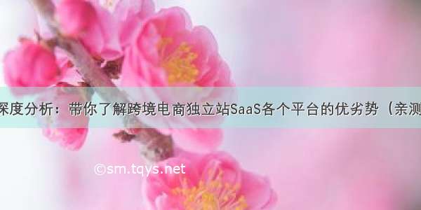 深度分析：带你了解跨境电商独立站SaaS各个平台的优劣势（亲测）