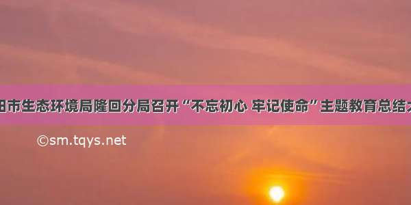 邵阳市生态环境局隆回分局召开“不忘初心 牢记使命”主题教育总结大会