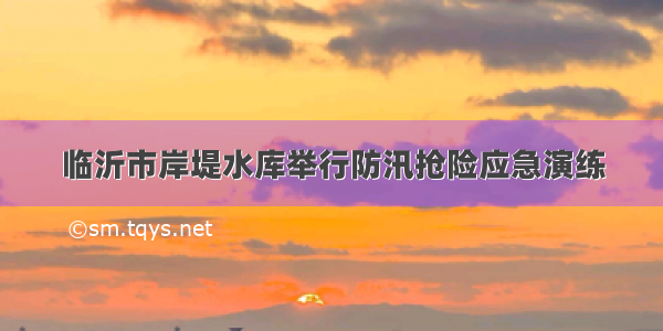 临沂市岸堤水库举行防汛抢险应急演练