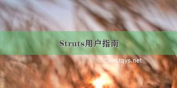 Struts用户指南