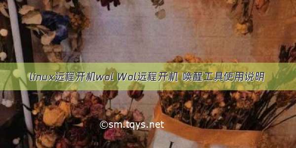 linux远程开机wol Wol远程开机 唤醒工具使用说明