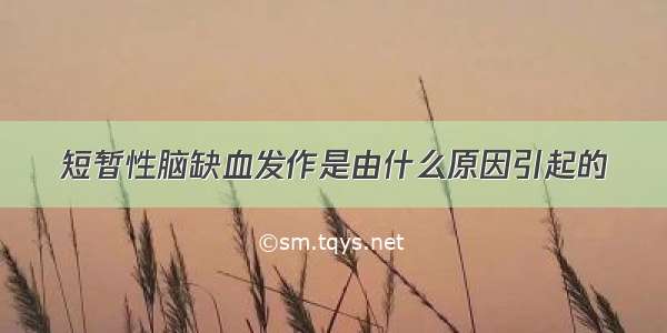 短暂性脑缺血发作是由什么原因引起的