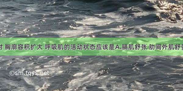 人体吸气时 胸廓容积扩大 呼吸肌的活动状态应该是A.膈肌舒张 肋间外肌舒张B.膈肌收