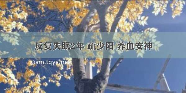 反复失眠2年 疏少阳 养血安神