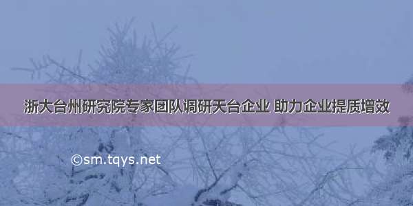 浙大台州研究院专家团队调研天台企业 助力企业提质增效