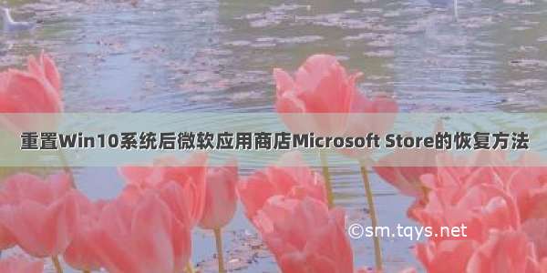 重置Win10系统后微软应用商店Microsoft Store的恢复方法