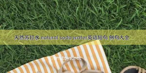 天然苏打水 natural soda water英语短句 例句大全