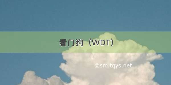 看门狗（WDT）