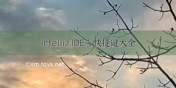 IntelliJ IDEA 快捷键大全