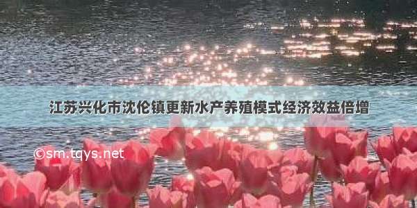 江苏兴化市沈伦镇更新水产养殖模式经济效益倍增