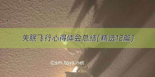 失眠飞行心得体会总结(精选12篇)