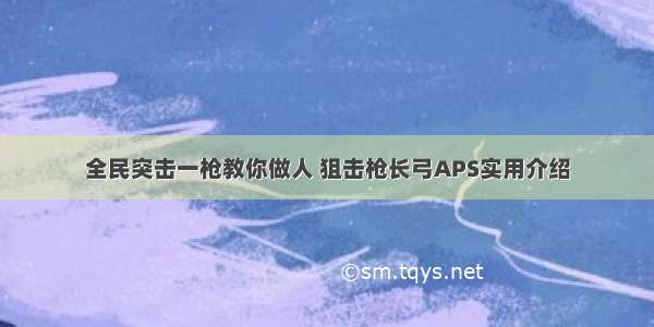 全民突击一枪教你做人 狙击枪长弓APS实用介绍