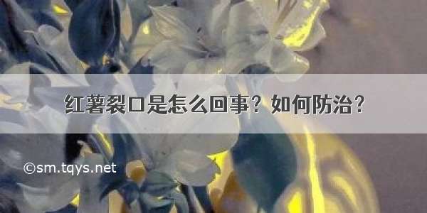 红薯裂口是怎么回事？如何防治？