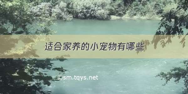 适合家养的小宠物有哪些