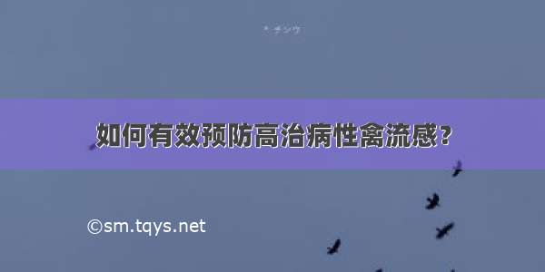 如何有效预防高治病性禽流感？