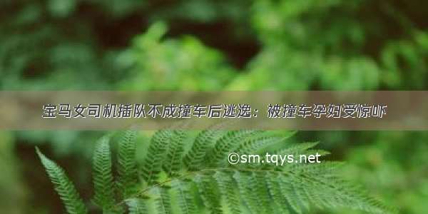 宝马女司机插队不成撞车后逃逸：被撞车孕妇受惊吓