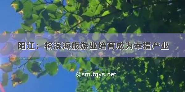 阳江：将滨海旅游业培育成为幸福产业