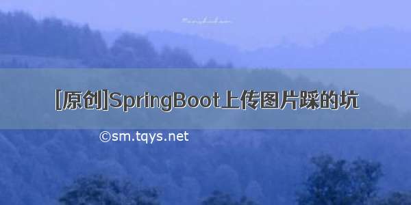 [原创]SpringBoot上传图片踩的坑