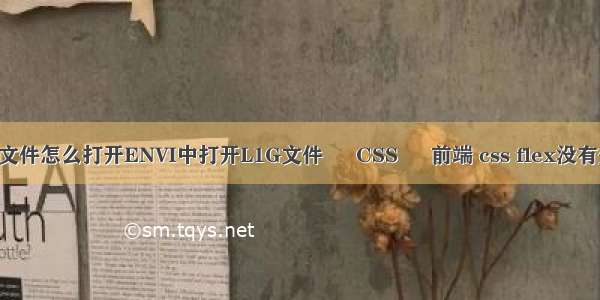 img文件怎么打开ENVI中打开L1G文件 – CSS – 前端 css flex没有效果