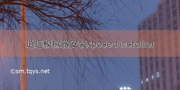 逍遥模拟器安装xposed installer