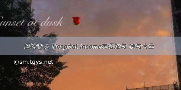 医院收入 Hospital income英语短句 例句大全