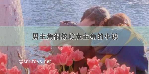 男主角很依赖女主角的小说