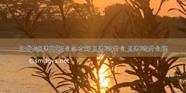 左半边腰疼要怎么办才好_腰疼吃什么_腰疼吃什么药