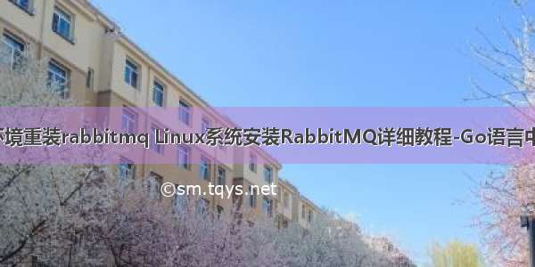 linux环境重装rabbitmq Linux系统安装RabbitMQ详细教程-Go语言中文社区