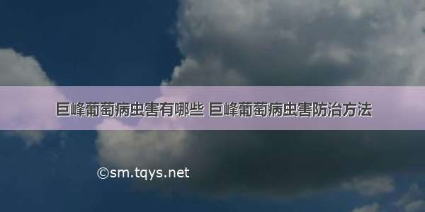 巨峰葡萄病虫害有哪些 巨峰葡萄病虫害防治方法