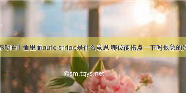 一直不明白T 恤里面auto stripe是什么意思 哪位能指点一下吗很急的拜托了