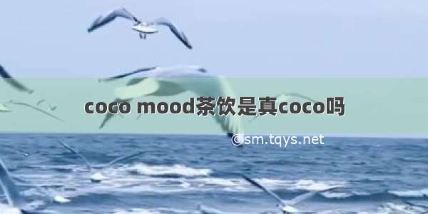 coco mood茶饮是真coco吗