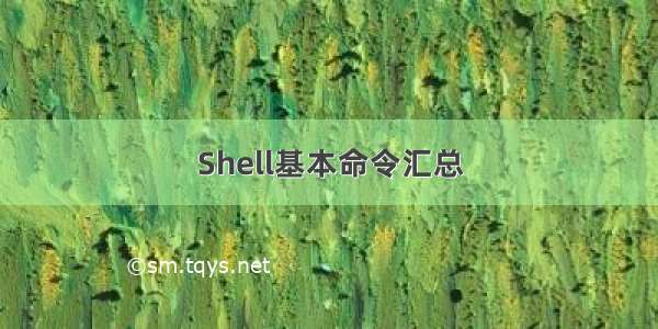 Shell基本命令汇总