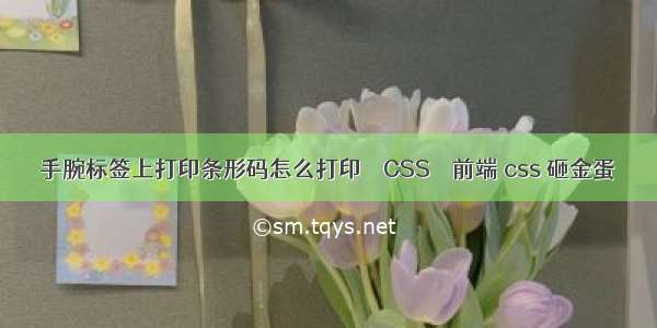 手腕标签上打印条形码怎么打印 – CSS – 前端 css 砸金蛋