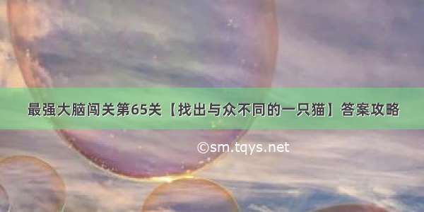 最强大脑闯关第65关【找出与众不同的一只猫】答案攻略