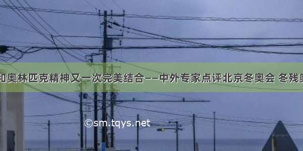 中国文化和奥林匹克精神又一次完美结合——中外专家点评北京冬奥会 冬残奥会吉祥物