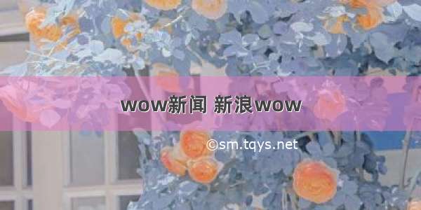 wow新闻 新浪wow