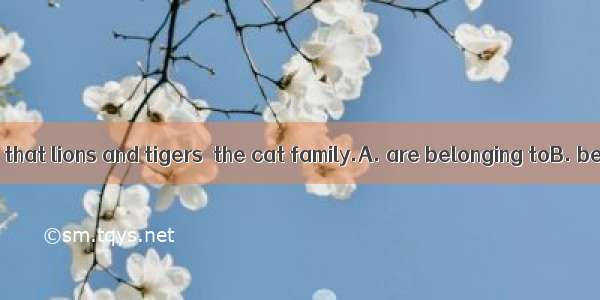 It is known to us that lions and tigers  the cat family.A. are belonging toB. belonged toC