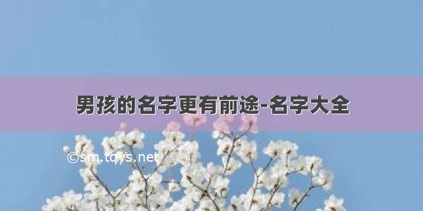 男孩的名字更有前途-名字大全