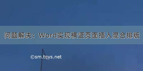 问题解决：Word实现横竖页面插入混合排版