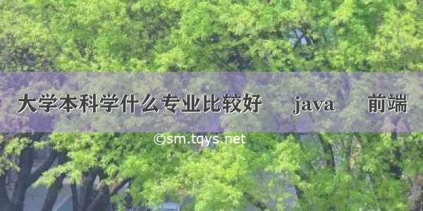 大学本科学什么专业比较好 – java – 前端