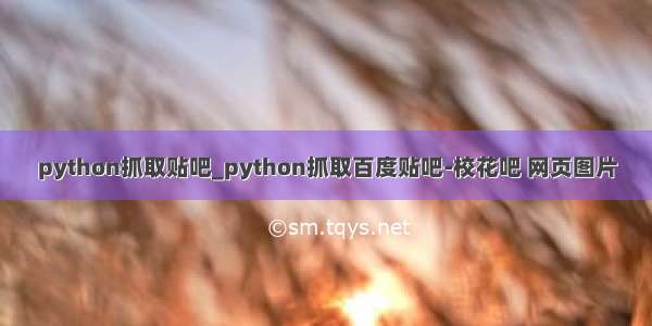 python抓取贴吧_python抓取百度贴吧-校花吧 网页图片