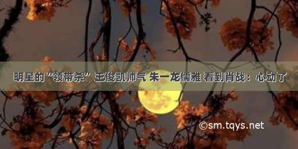 明星的“领带杀” 王俊凯帅气 朱一龙儒雅 看到肖战：心动了