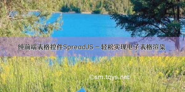 纯前端表格控件SpreadJS - 轻松实现电子表格渲染